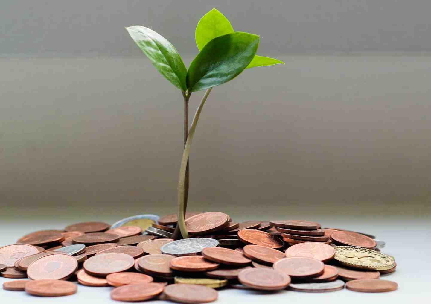 Rychlá půjčka na účet a správa nepředvídaných událostí v roce 2026